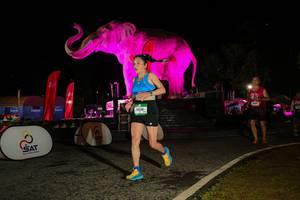 BIB: 
                            <button type="button" onclick="openModal(26534753)" class="btn btn-primary btn-sm float-right btn-popup" data-toggle="modal" data-target=".modal-high-quality">
                        <i class="fas fa-shopping-cart"></i> Add to Cart
                    </button>
                                            <button type="button" onclick="isThisMe(26534753, true)" class="btn btn-success btn-sm float-right btn-popup btn-isme hidden" data-toggle="tooltip" data-placement="bottom" title="นี่คือรูปของคุณใช่ไหม คลิกที่นี่เพื่อเอาเข้าอัลบั้ม">
                        <i class="fas fa-plus"></i> Add to album
                    </button>
                    <button type="button" onclick="isThisMe(26534753, false)" class="btn btn-warning btn-sm float-right btn-popup btn-isnotme hidden">
                        <i class="fas fa-ban"></i> Remove from album
                    </button>